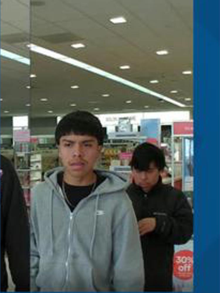 Florence police seek help to identify four suspects in $800 theft ...