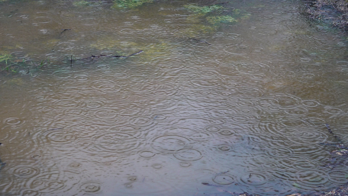 FOX54 Weather Impact Alert Day | Jackson County, AL