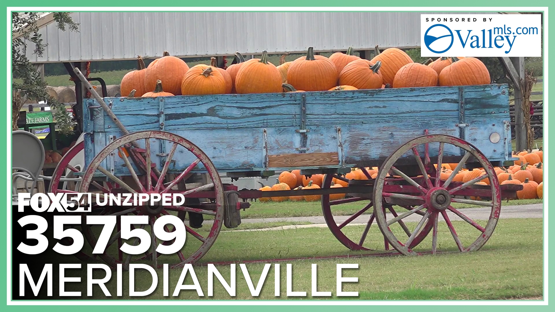 Pumpkin patches and other types of farms are peppered throughout the 35759 zip code!