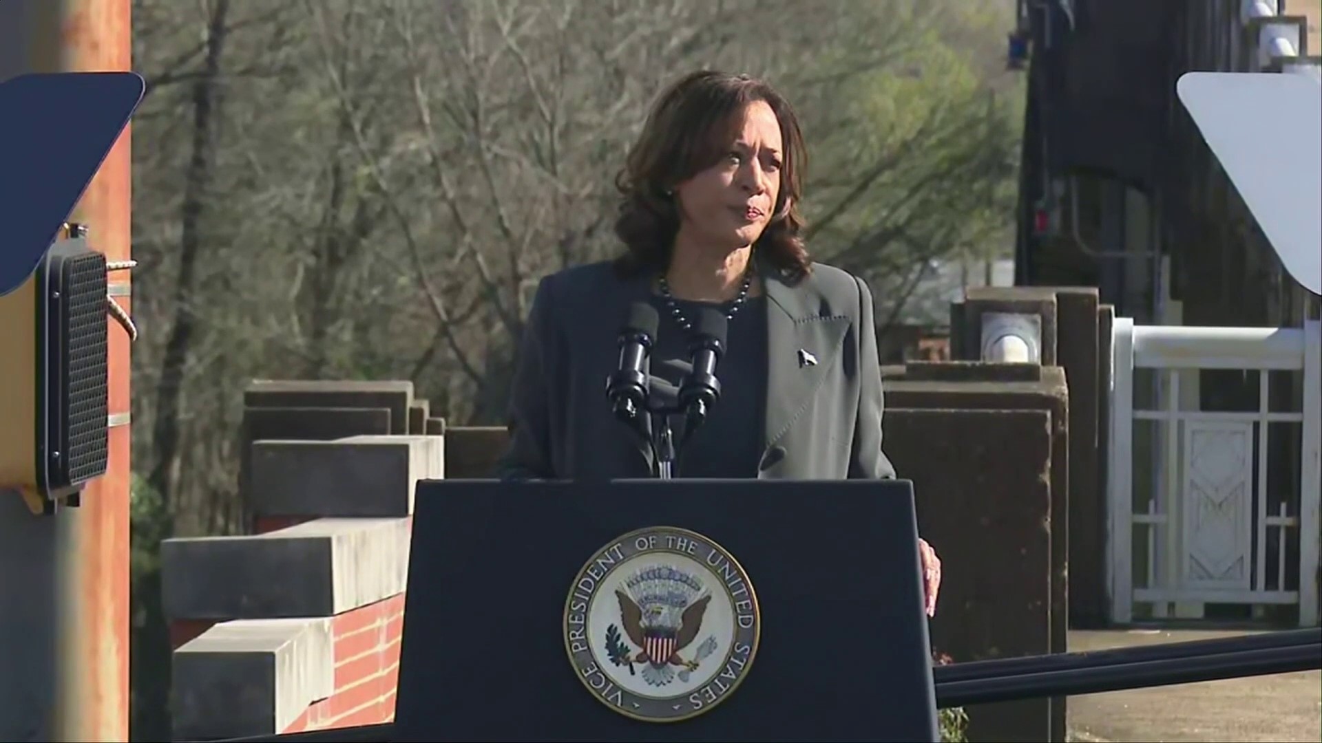 Vice President Harris began her remarks by calling for a ceasefire in Gaza, before speaking about civil rights and voting rights issues in the United States.