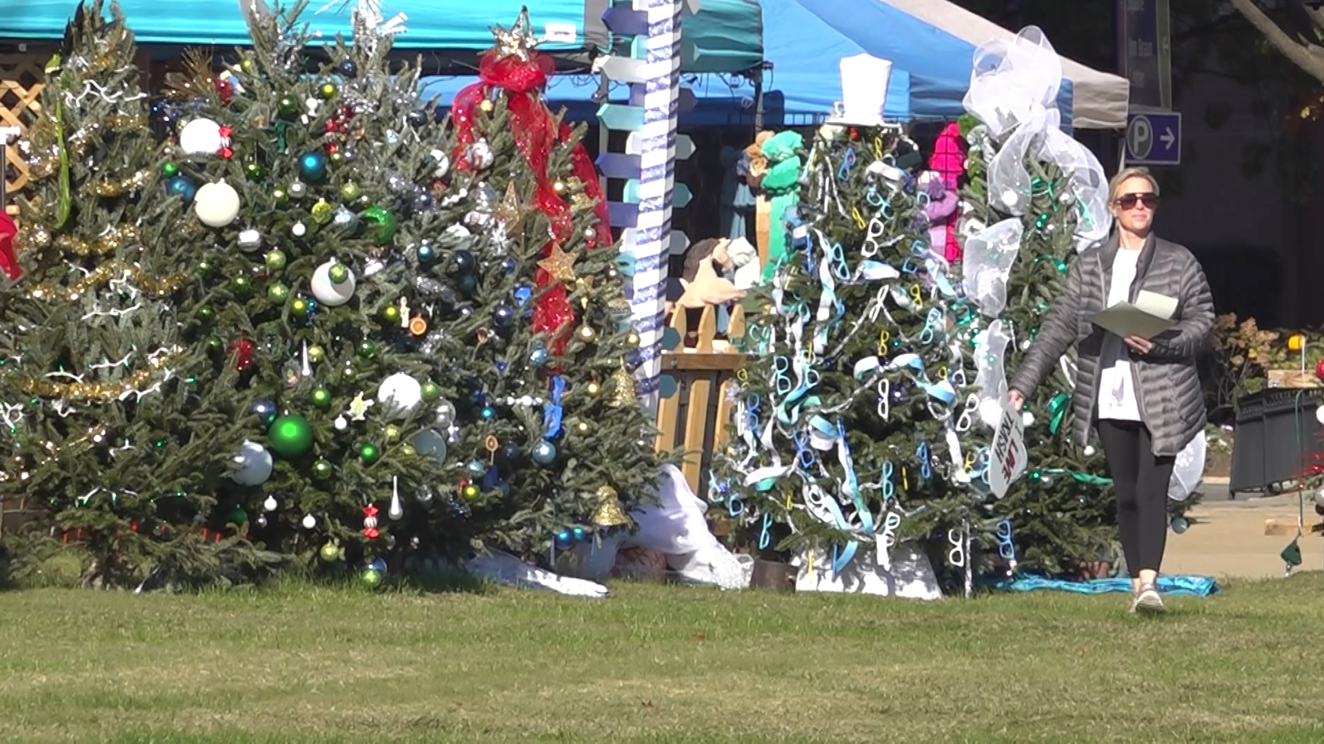 The annual event turns Big Spring Park into quite the spectacle, with various organizations sponsoring a tree (or two!) to decorate.