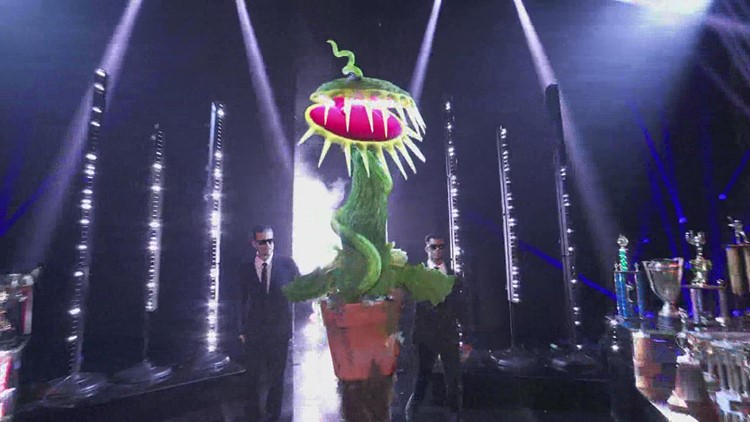The Masked Singer: Could it be 