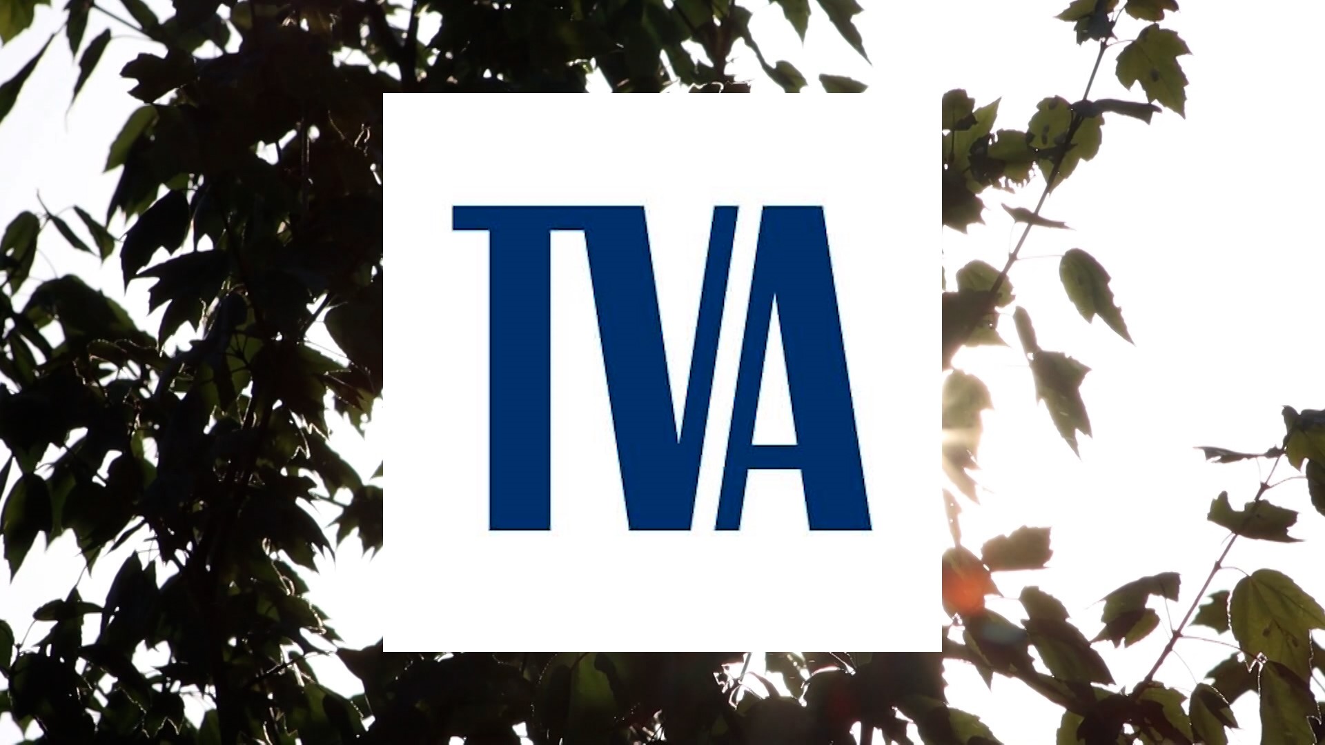 TVA is voluntarily asking people to reduce their electrical use during this extreme heat