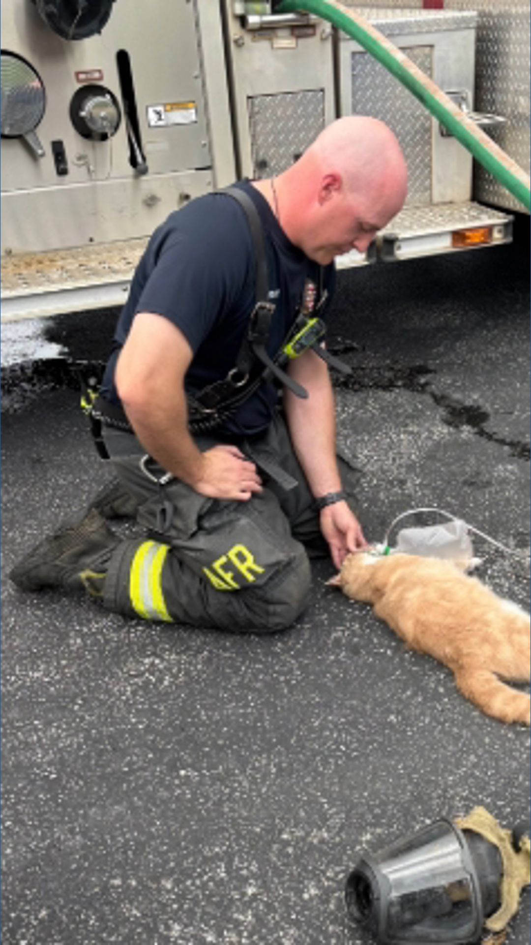 Athens firefighters save three cats from house fire | rocketcitynow.com