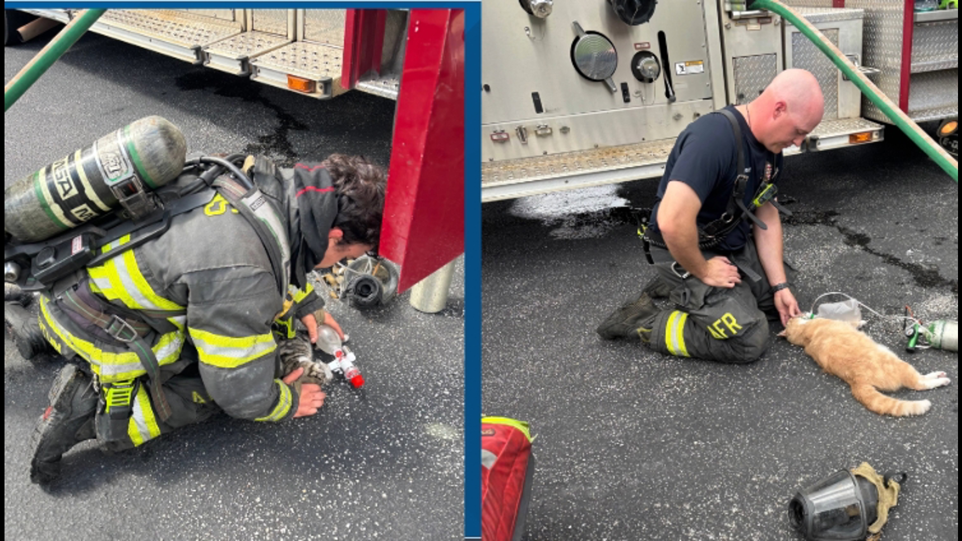 Athens firefighters save three cats from house fire | rocketcitynow.com