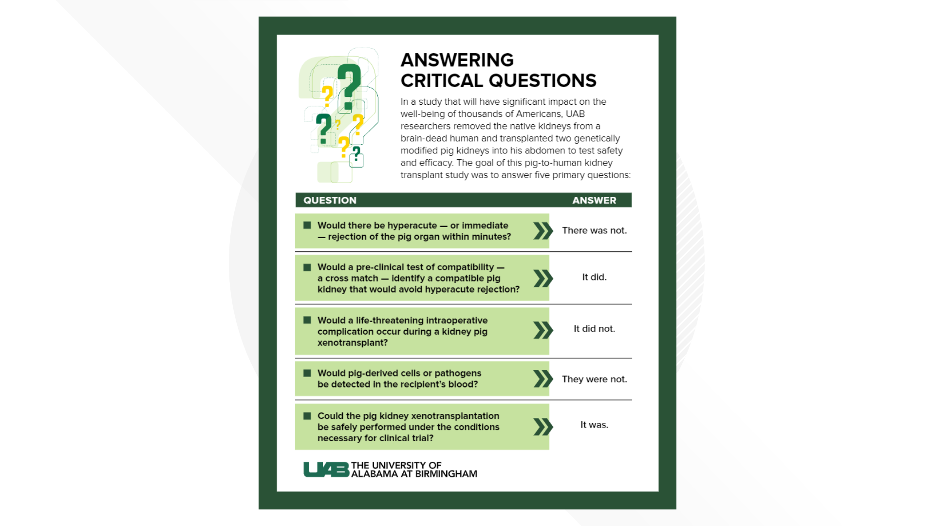 UAB first pig kidney transplant with human