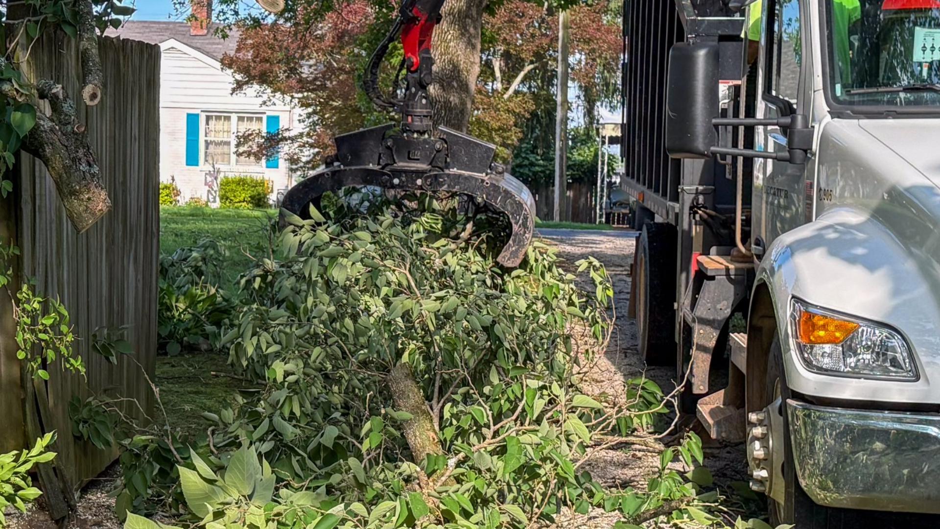 Decatur crews clean up fallen trees and debris after storms move ...