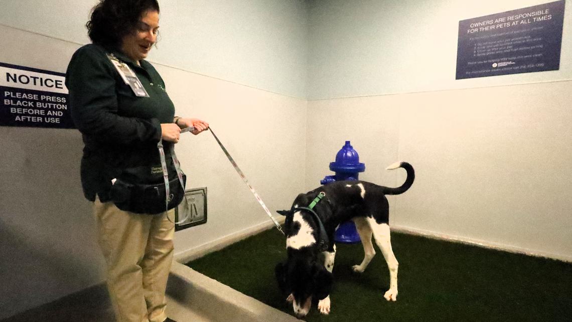 Traveling with a pet? Huntsville Airport now has an indoor spot for animals to take a break