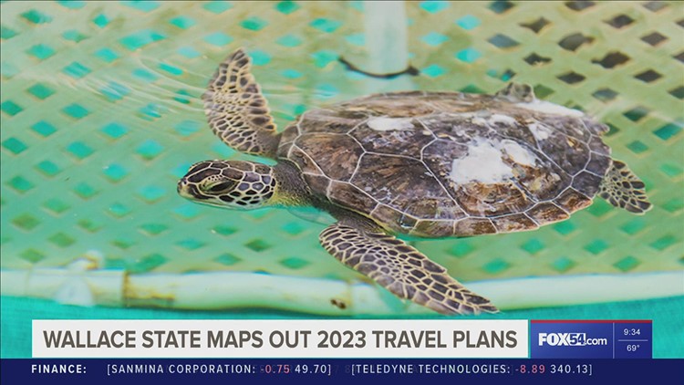 Wallace State Alumni Association offers travel for all