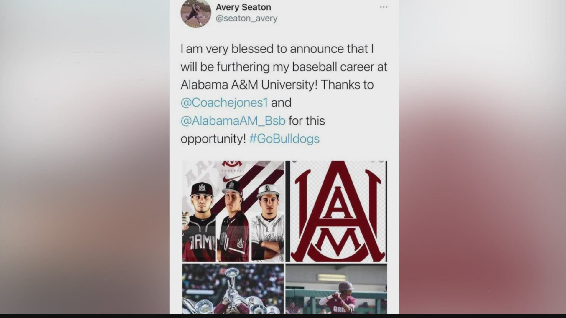 Madison Academy standout Avery Seaton's athletic future will reside on the baseball diamond. This weekend, Seaton verbally committed to play baseball at Alabama A&M.