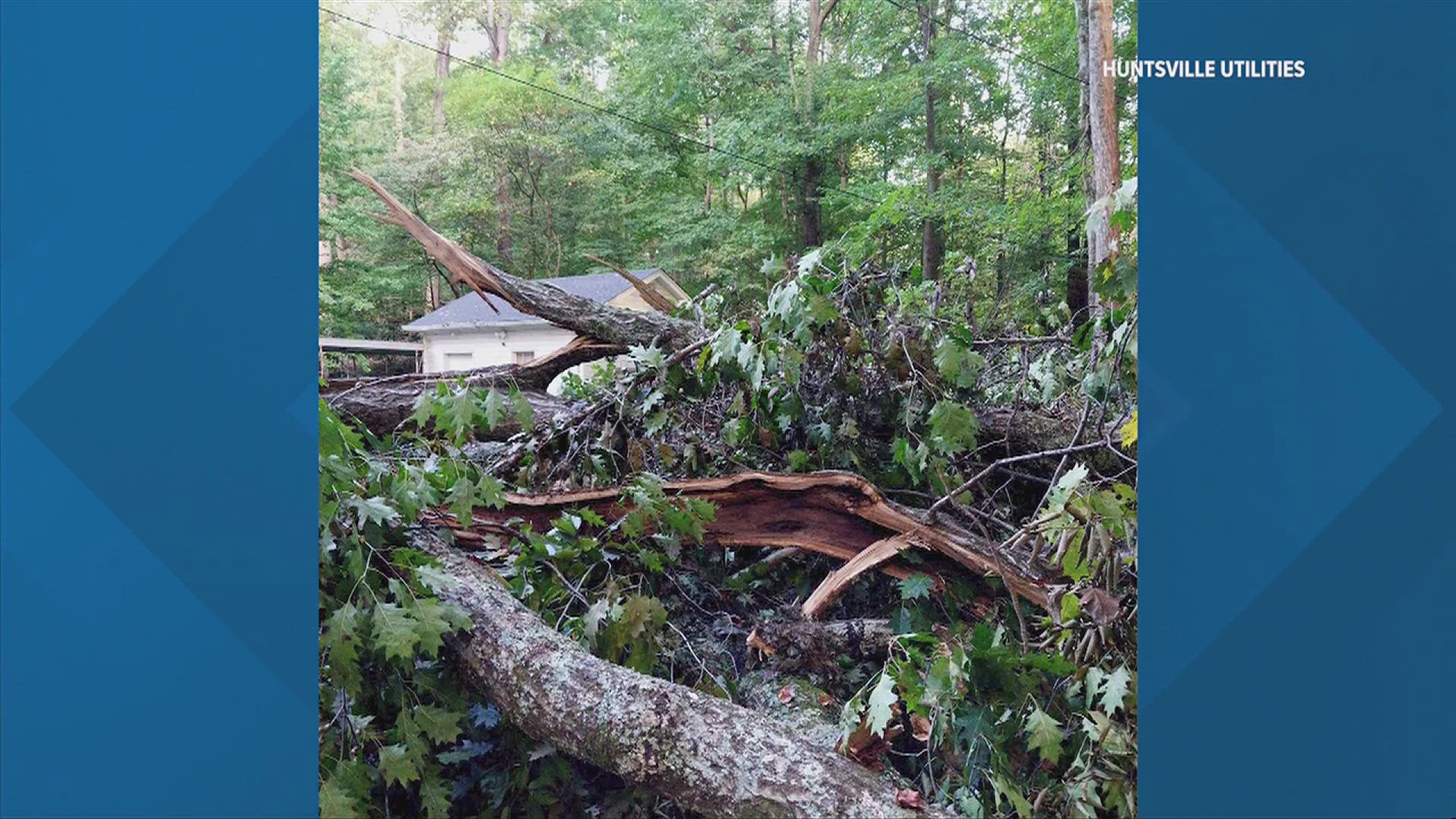 This Helene-hit area had widespread outages after an enormous tree was knocked over by heavy winds.