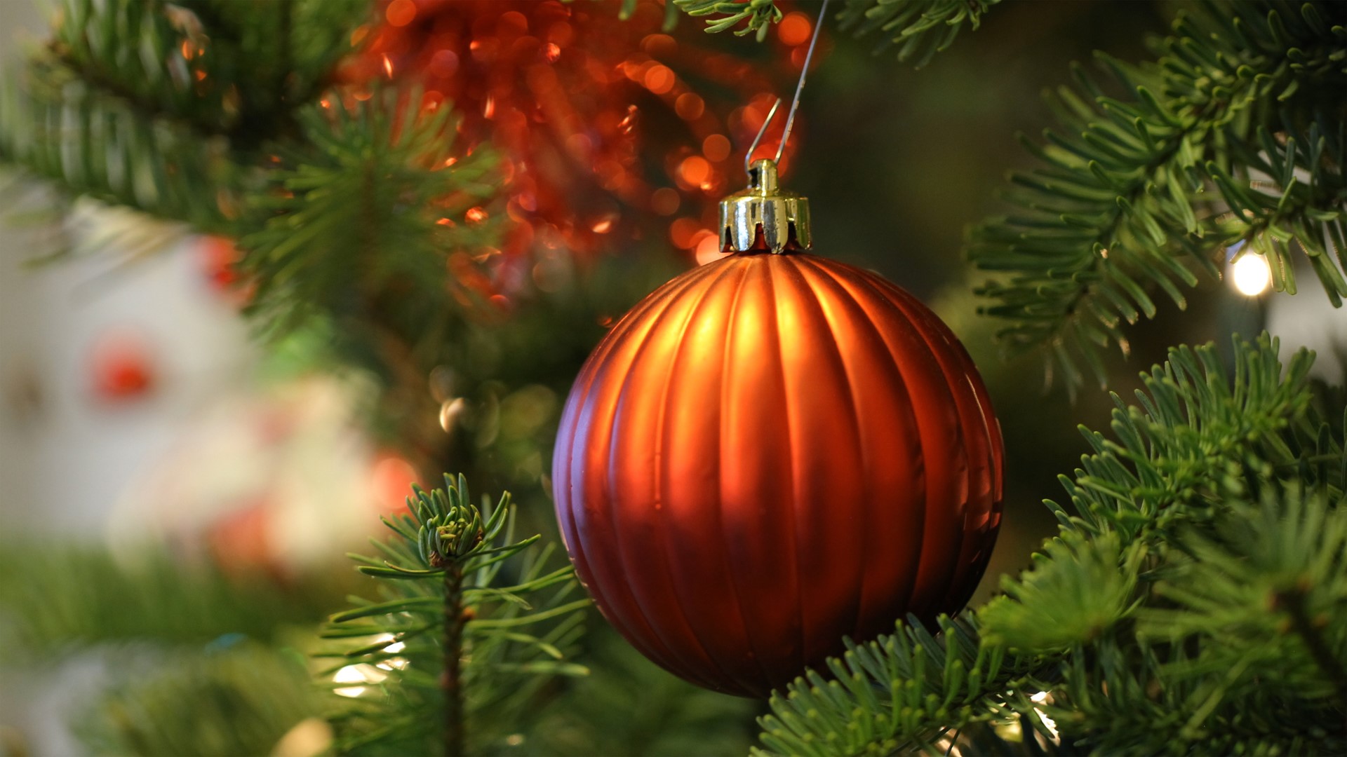 Is It Too Early To Put Up A Christmas Tree Rocketcitynow