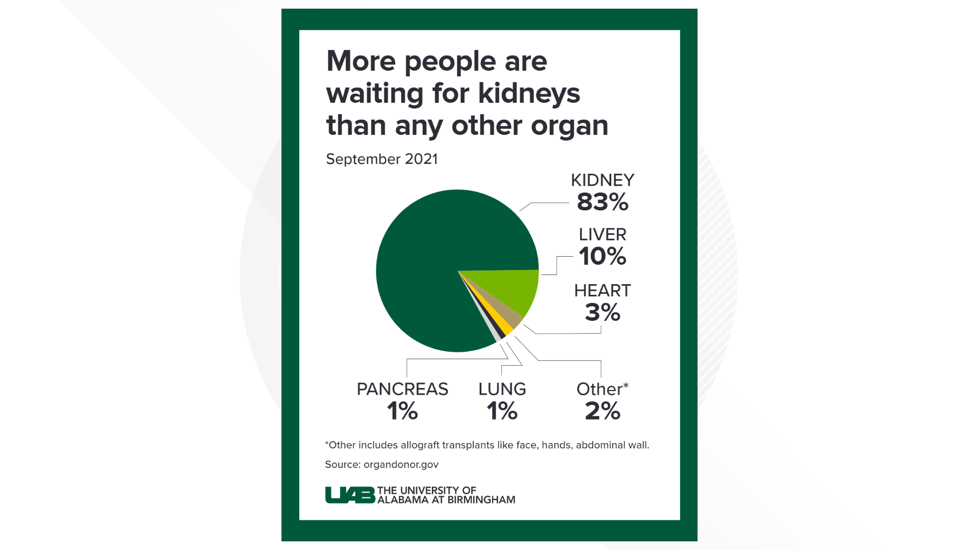 UAB first pig kidney transplant with human