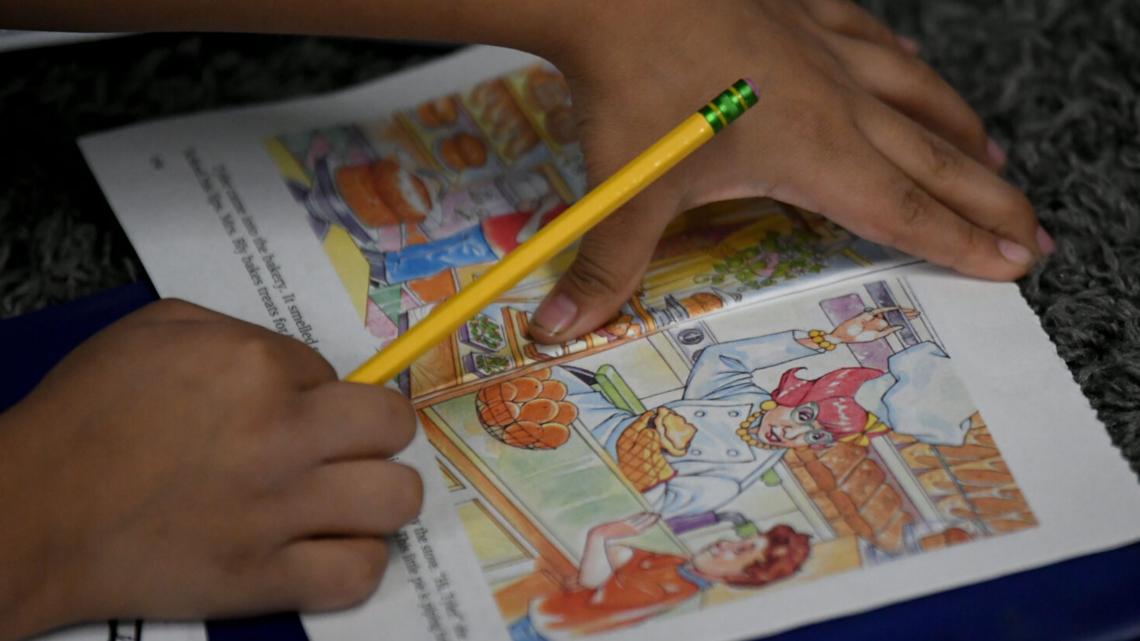 In DeKalb County, English Language Learner instructors teach, translate and calm fears