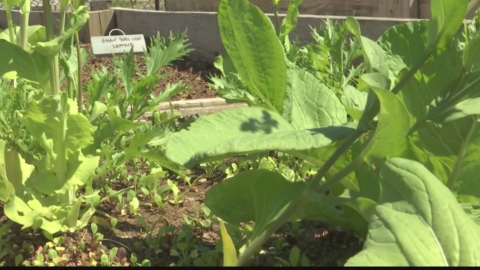 On Earth Day, two non-profit groups in Huntsville teamed up to create a more sustainable and affordable way to grow veggies.