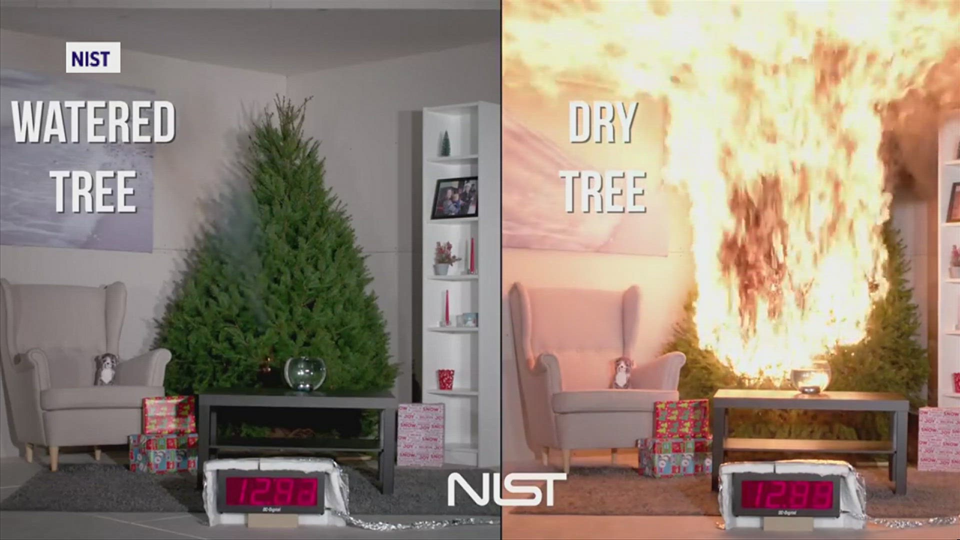 How can you reduce the risk of a Christmas tree fire in your home?