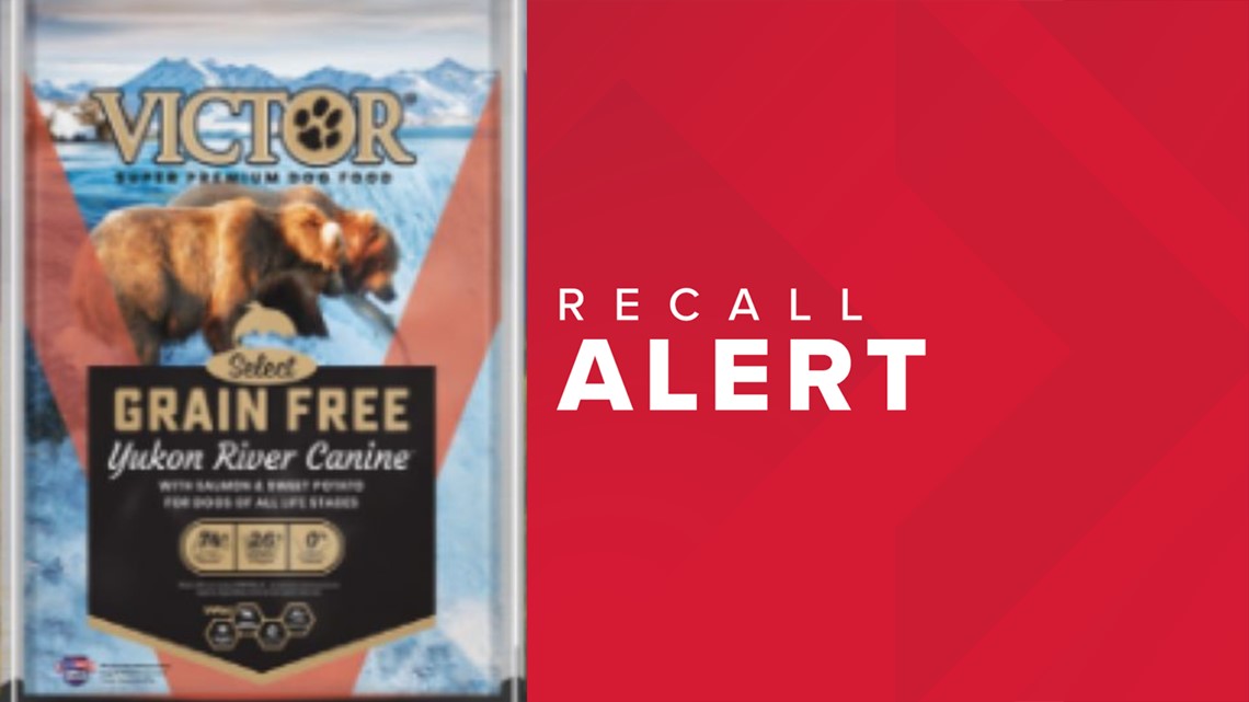 Dog food grain free clearance recall