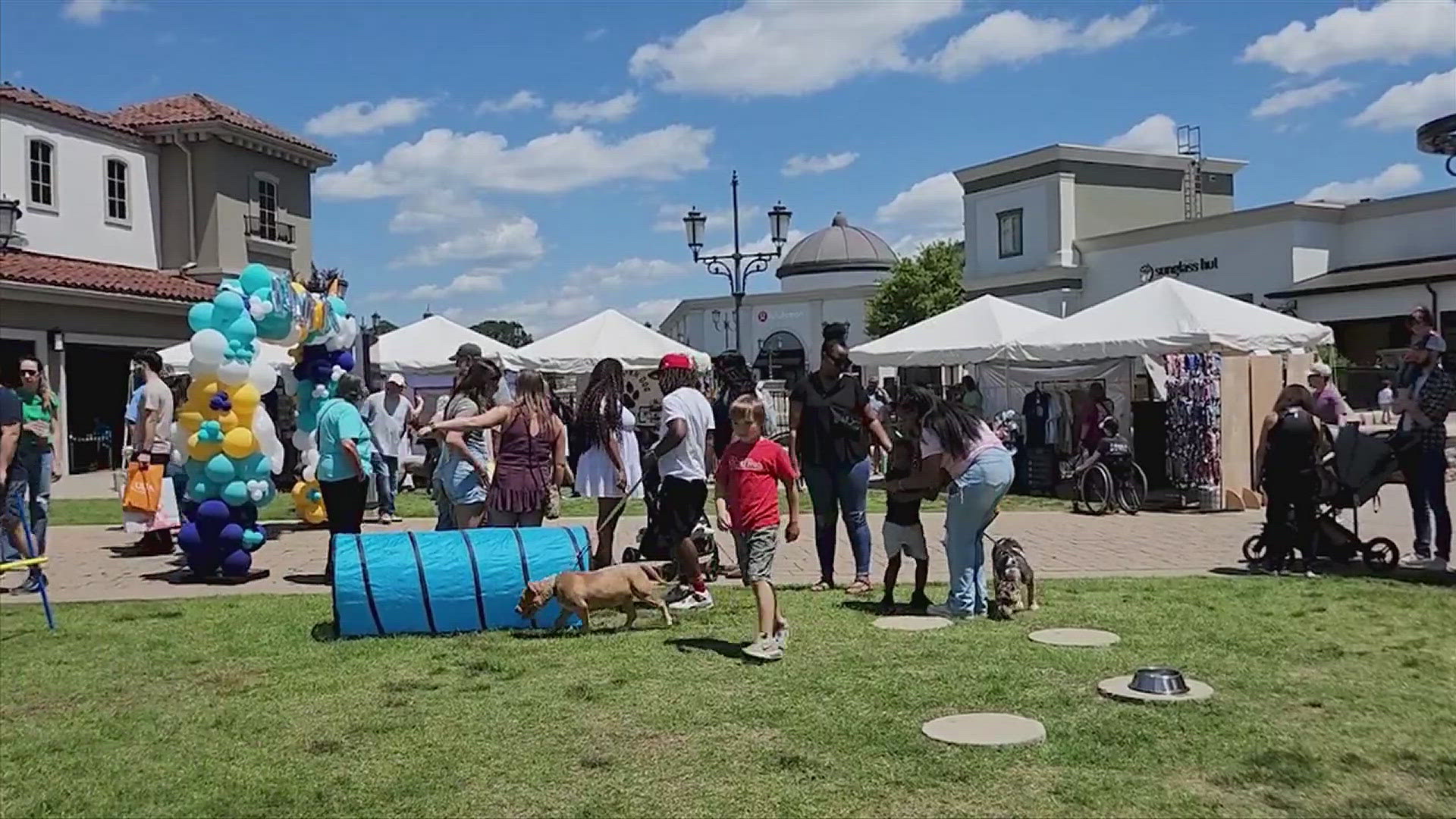 Saturday was chock-full of activities including a dog-friendly vendor event at Bridge Street and a live music smorgasbord in MidCity.