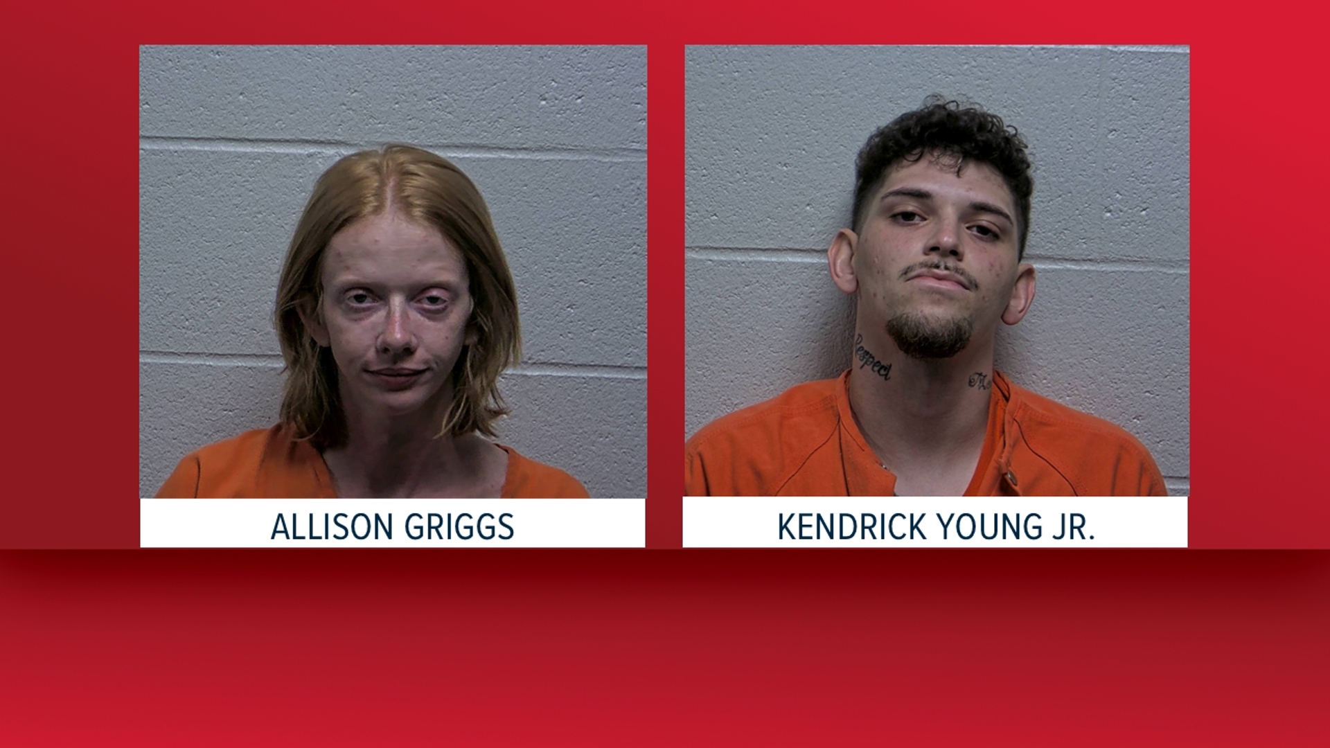 Two arrested in Giles County after months-long drug investigation ...