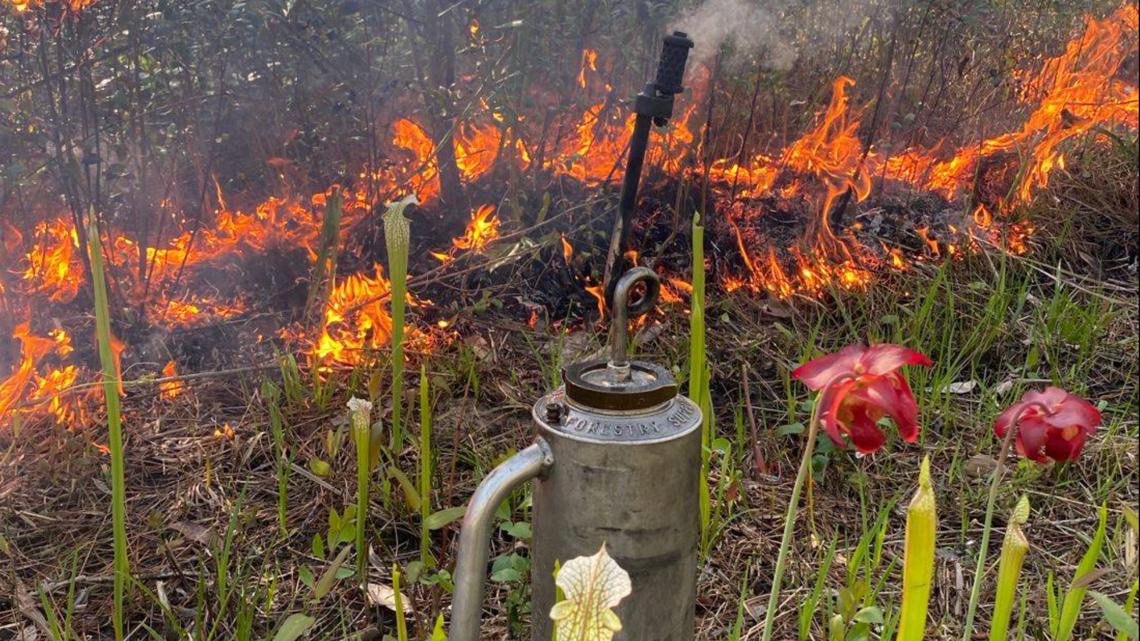 Prescribed fire season underway in Alabama; officials urge patience amid high call volumes