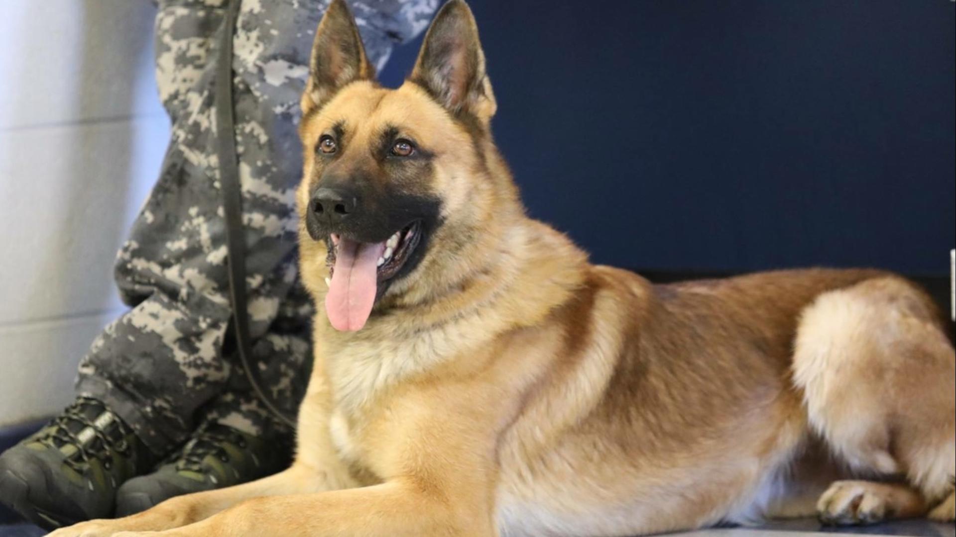 Madison County honors K9 Zuka's service after his passing ...