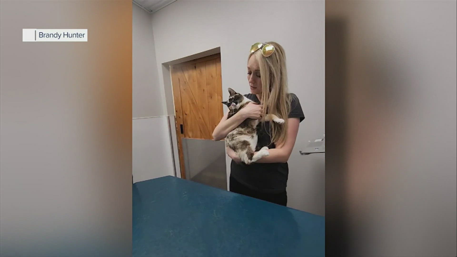 A Utah family reunites with their cat, who was accidentally mailed off in an Amazon box and stayed inside for nearly a week.