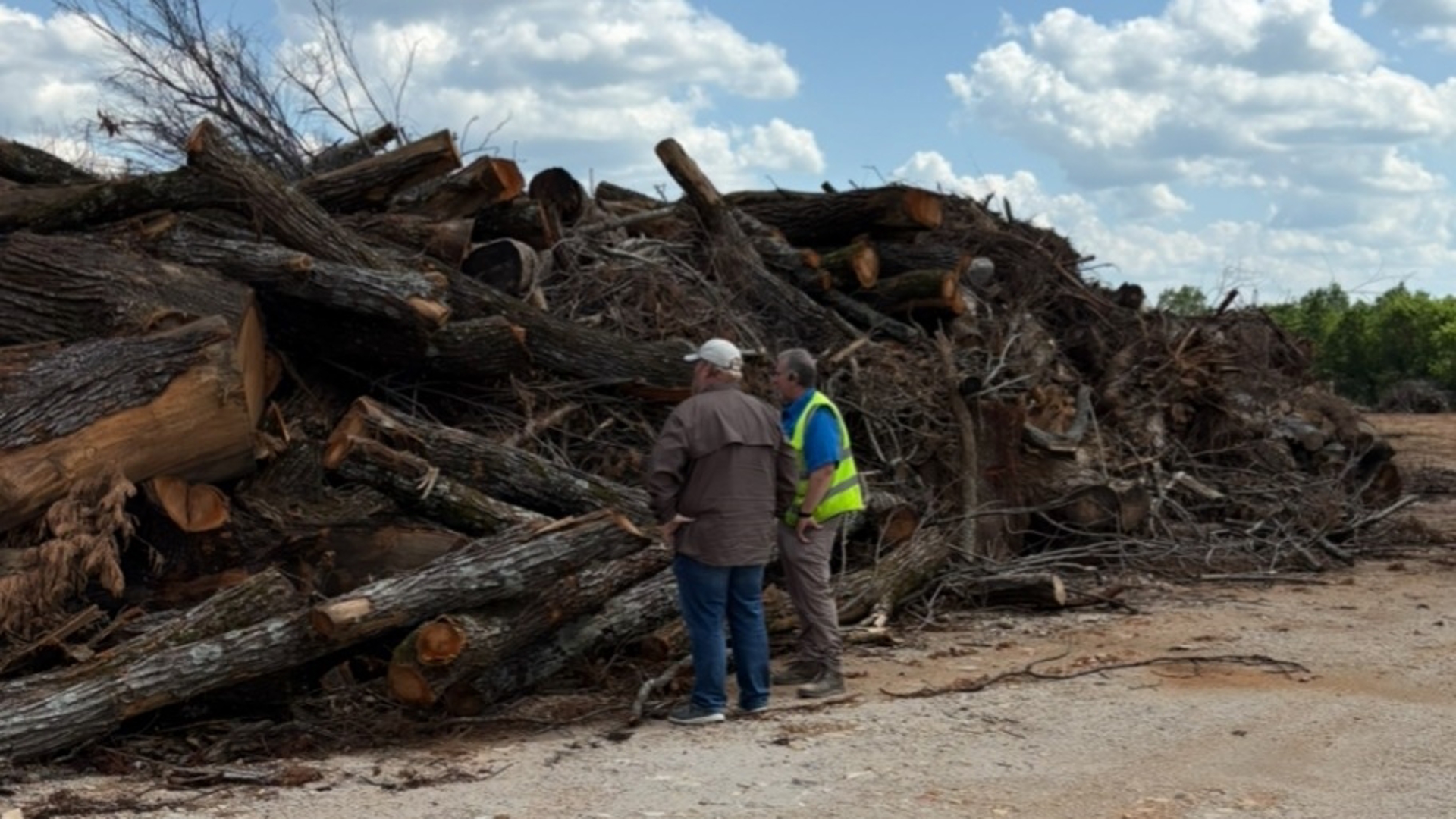 Millions of pounds of tree debris hauled to Colbert County landfill ...