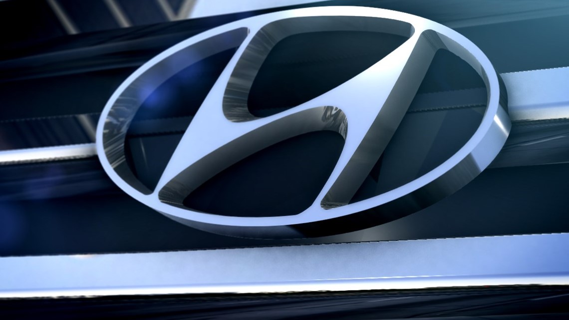 Community groups target Hyundai to stop alleged child labor - Vimarsana News
