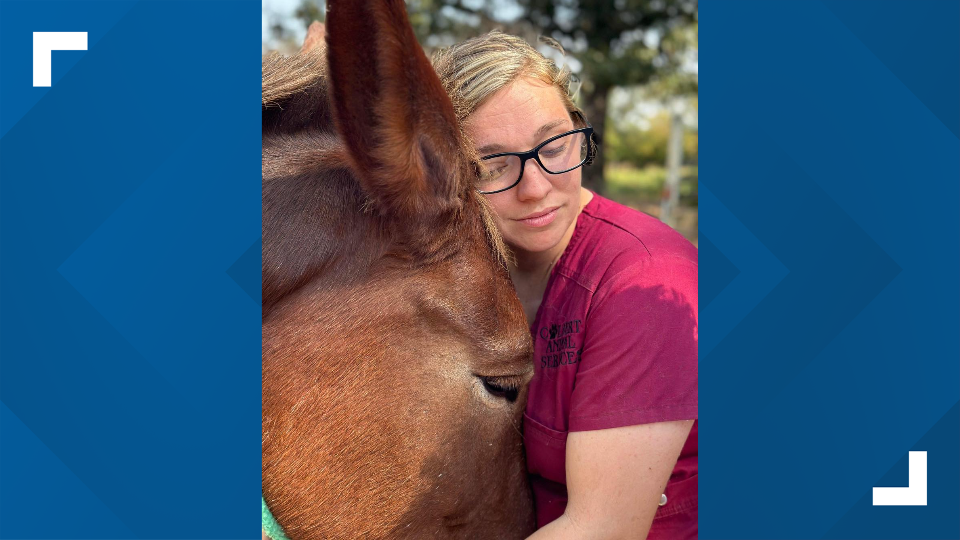 Alabama woman charged with multiple counts of animal cruelty ...