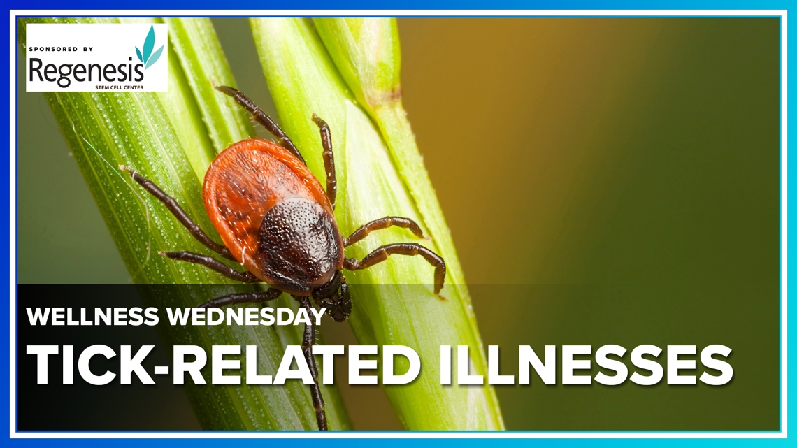 Wellness Wednesday | Tick-borne illnesses: How to protect yourself this season