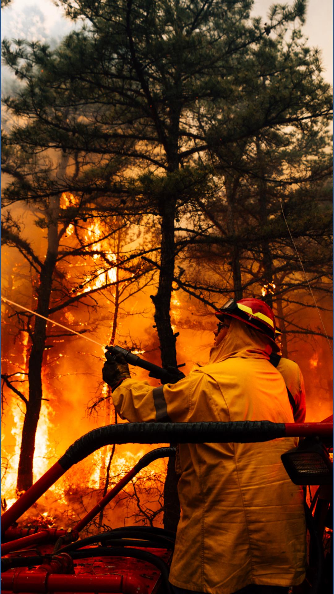 Second person charged with arson in New Jersey Pine Barrens wildfire ...