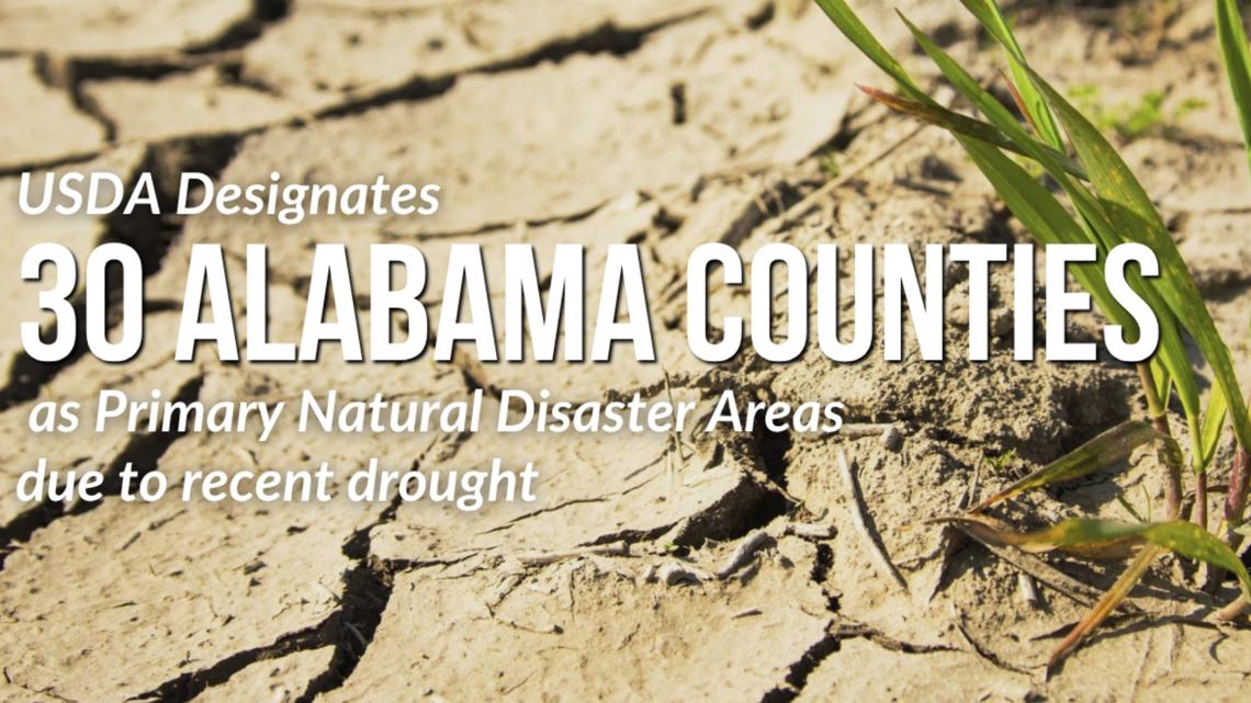 USDA designates 30 Alabama counties as disaster areas due to drought