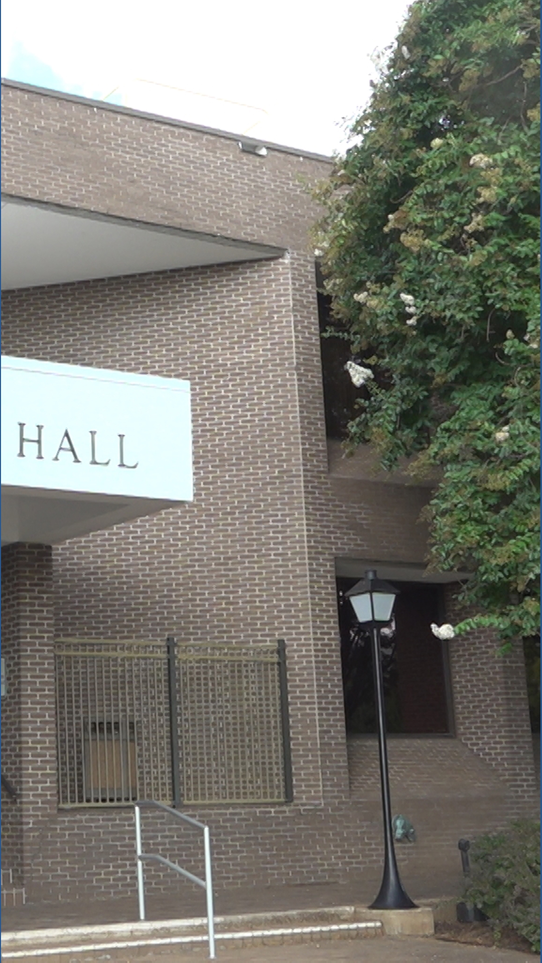 Decatur City Council candidates gain key endorsements as election day ...