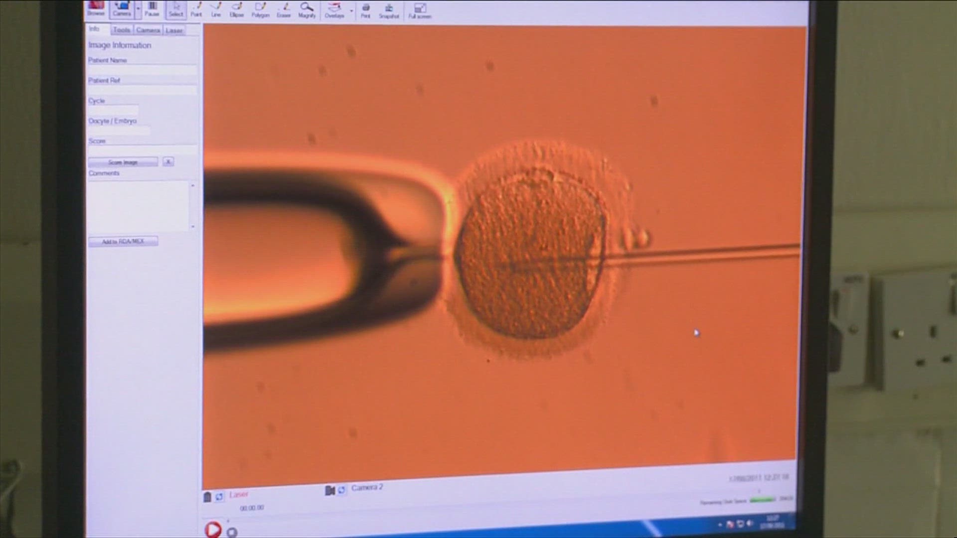 At least three IVF providers halted operations after the ruling due to potential legal ramifications.
