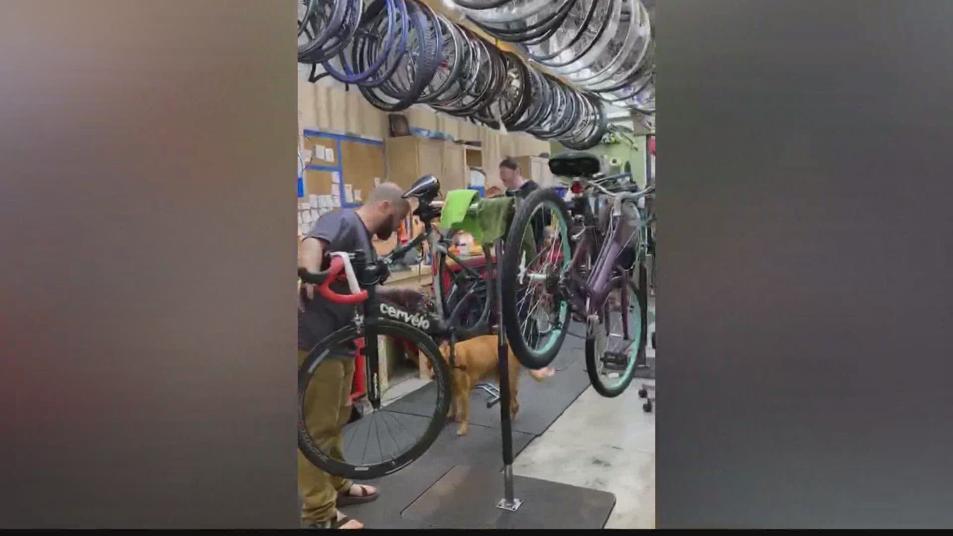 Blevins Bicycle Co. is doing just service right now and only allowing people to drop their bikes off outside.