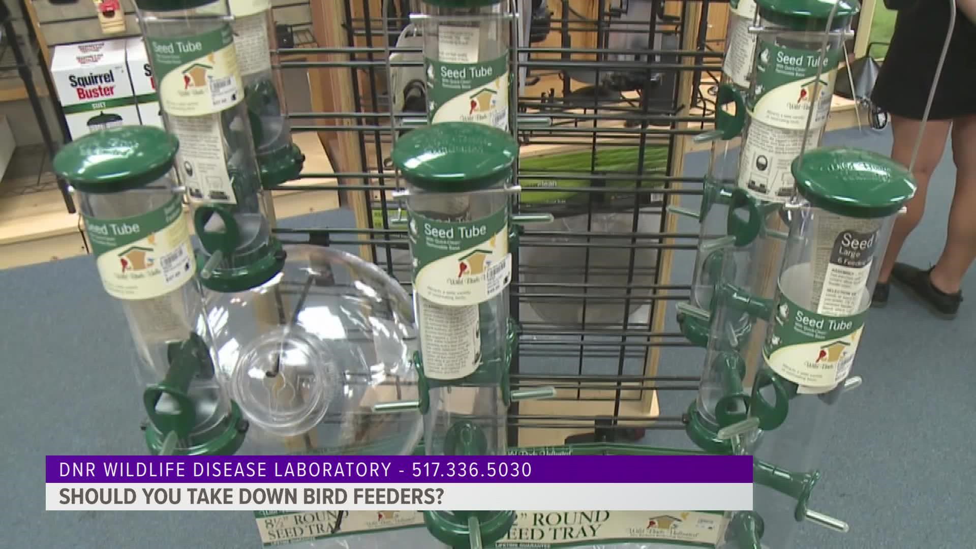 The Michigan DNR says that birds that typically visit bird feeders like cardinals and chickadees are less susceptible to the avian flu.
