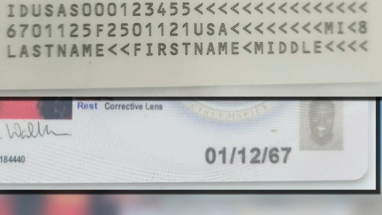 Mystery man appears on 8,200 Michigan licenses after alleged printing error