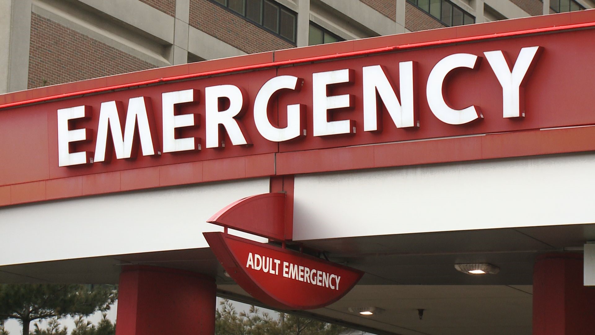 Adams County woman dies of injuries sustained in crash | fox43.com