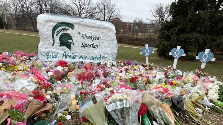 Michigan State University shooter had 2 guns: police